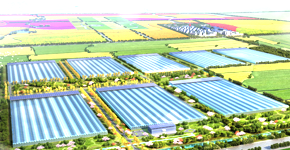 成人看片网站企業新聞