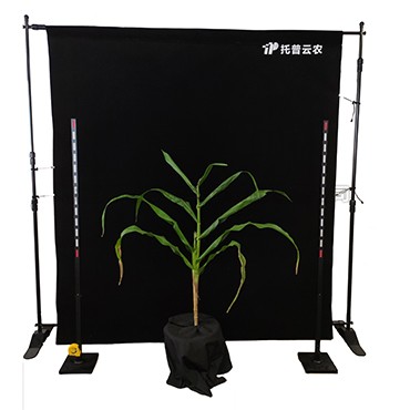 玉米株型分析係統 TPMT-X-1
