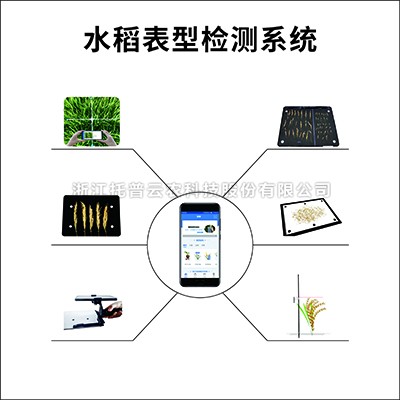 水稻表型檢測係統
