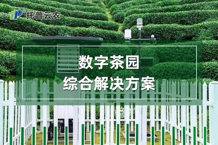 數字茶園綜合解決方案