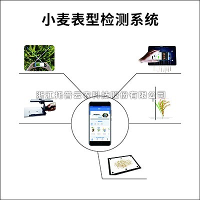 小麥表型檢測係統：專業的小麥表型檢測儀器