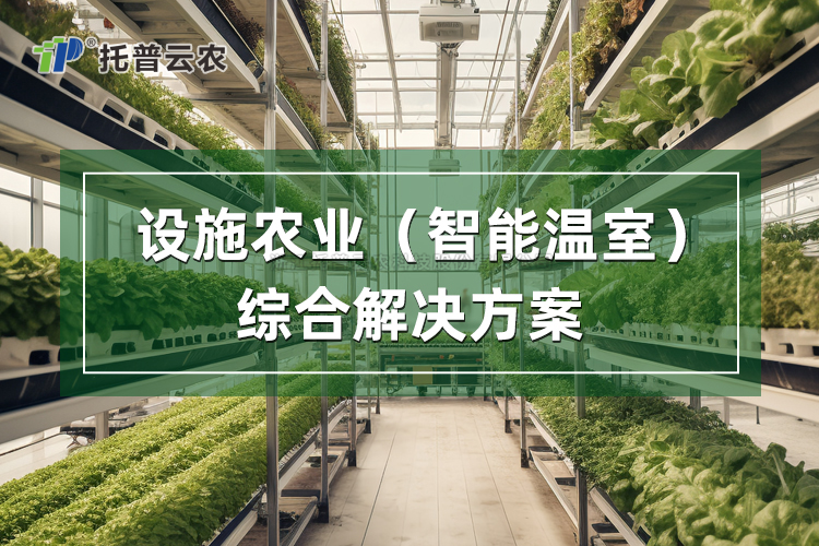 設施農業綜合解決方案