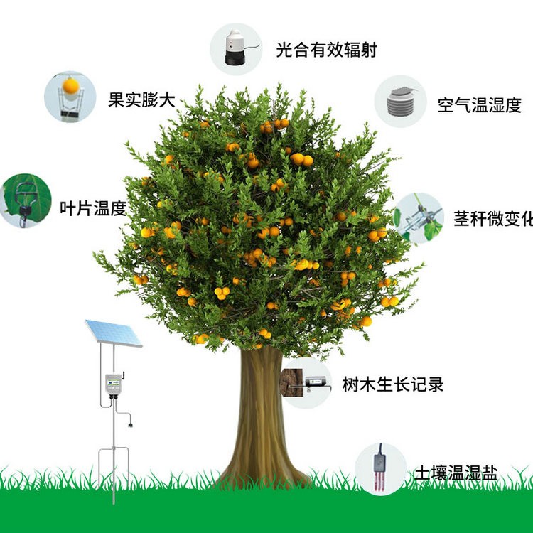 植物生理生態監測係統 TP-ZWSL係列