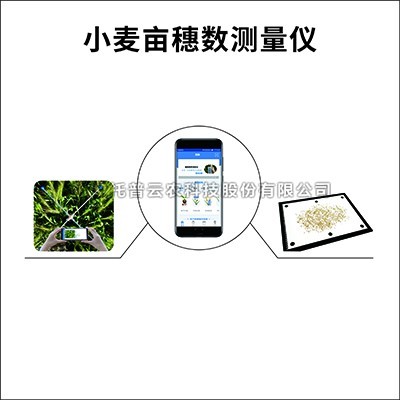小麥畝穗數測量儀/係統：測量小麥畝穗數的育種測產儀器