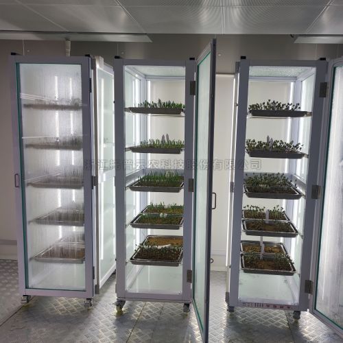 成人在线看片APP發芽室 /