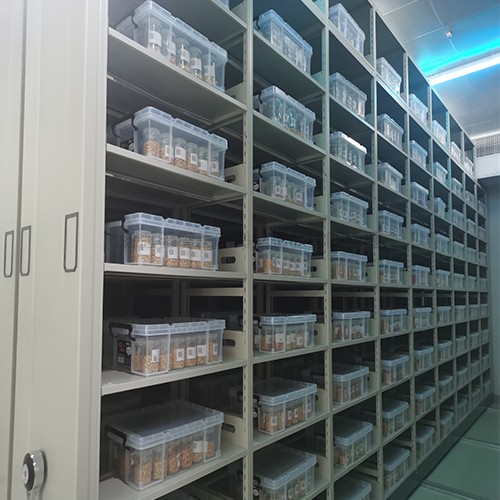 種質資源複份長期庫 /