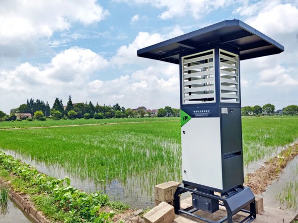 厲害了！連續兩年成人看片网站第一！