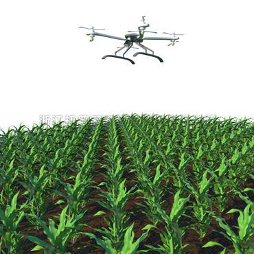 田間無人機式高通量植物表型采集分析平台 TP-GTL-AIR