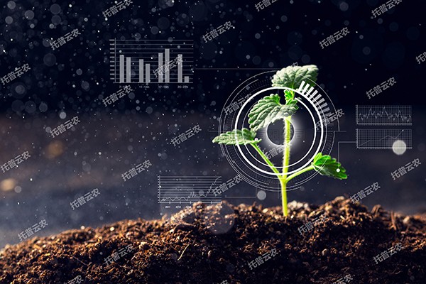 全新啟程——成人看片网站為植物表型科研“數智”賦能