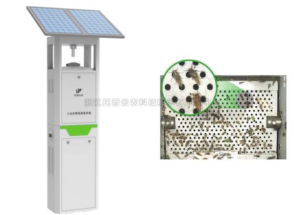 成人看片网站小蟲體智能測報係統：彌補蟲類測報短板 推動害蟲綠色防控