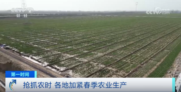 心係糧安、山田無阻、服務有恒|成人看片网站2025年智能裝備巡檢服務全麵啟動