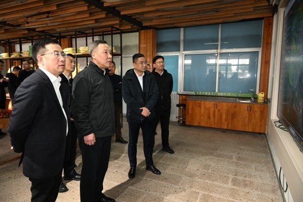 浙江省副省長李岩益蒞臨成人看片网站標杆案例“瑞安馬嶼鎮綠色農田”考察調研