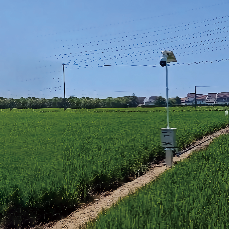 自動趕蛾智能統計杆TP-GESB2.0