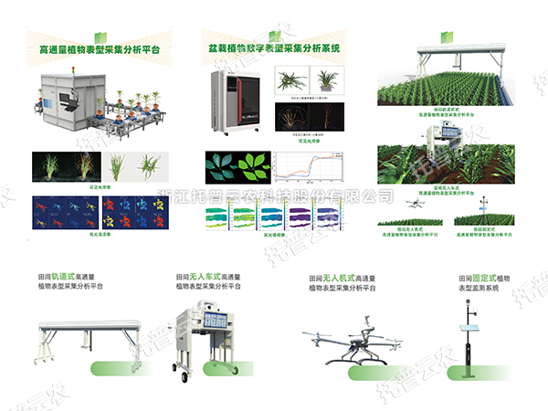 AI+農業新突破！托普高通量植物表型智能分析平台助力智慧農業創新發展