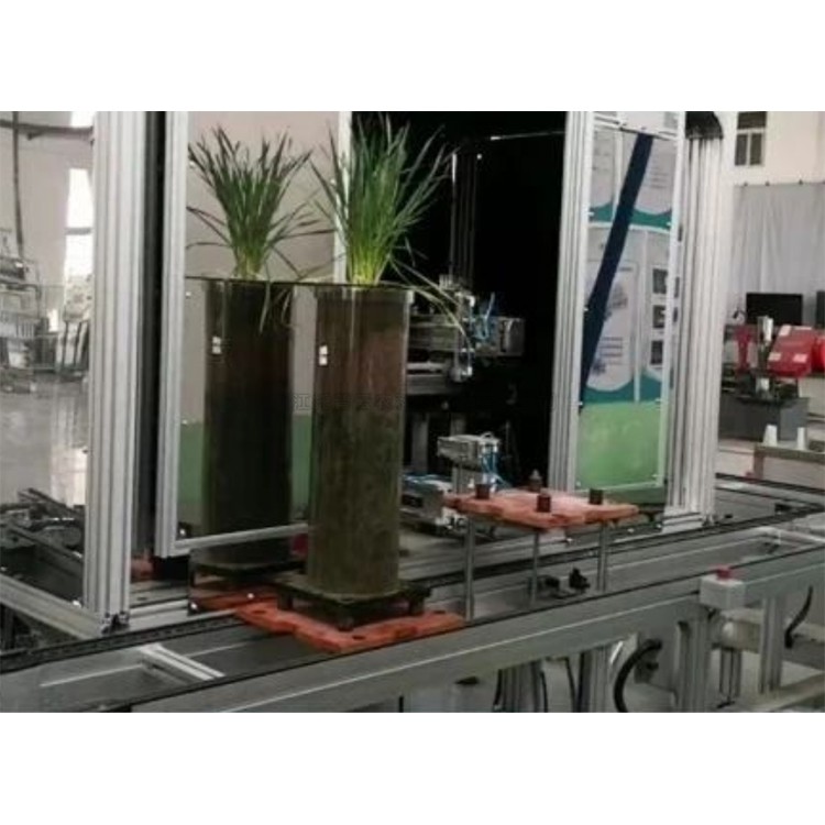 高通量植物根係表型采集分析係統（根筒式）TPN-GXY-GT