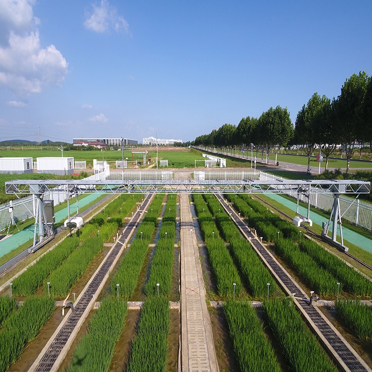 龍門式高通量表型采集分析平台（地軌式） TPN-GTL-GT1