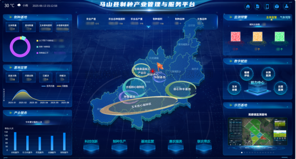 AI+農業 | 當成人在线看片APP植入“數智芯片”，馬山縣打造製種基地新標杆