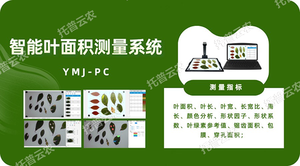 智能葉麵積測量係統——秒級快速測葉片，多參數同步解析，雲端數據好管理