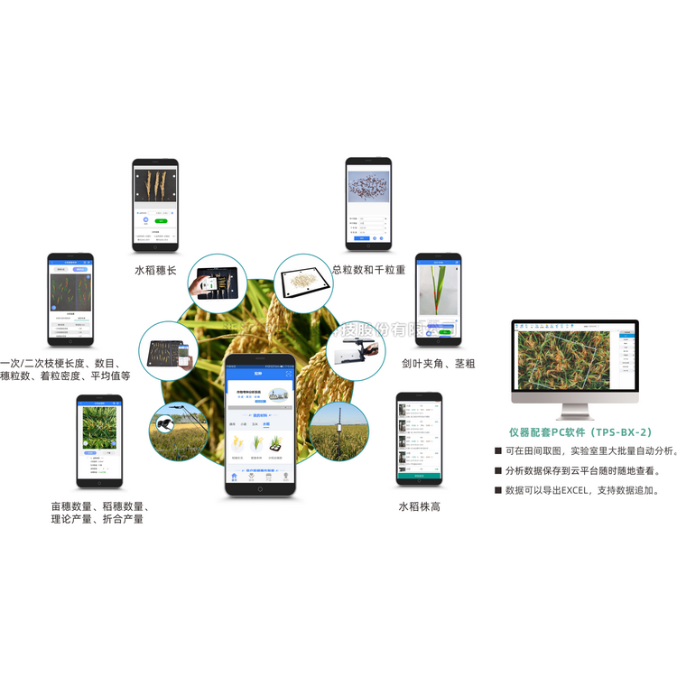 水稻表型檢測係統TPS-BX-2