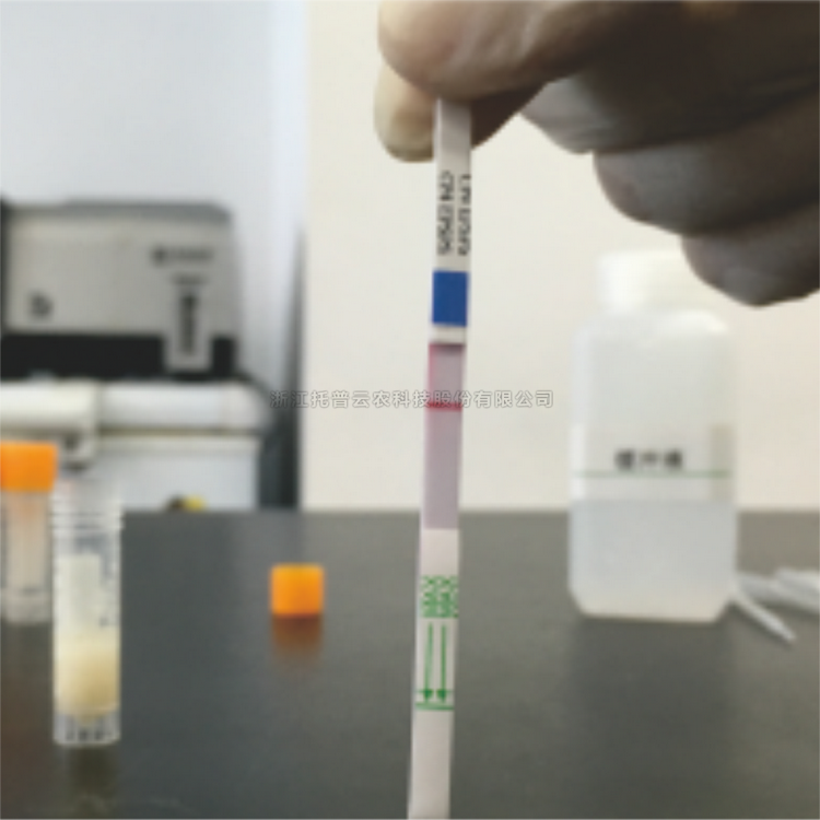 轉基因快速檢測試紙（抗除草劑）EPSPSCP4