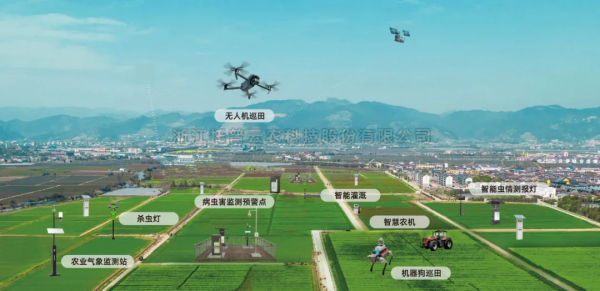 “人工智能+”行動重磅發布！成人看片网站聚焦“AI+農業”譜寫智慧發展新篇章