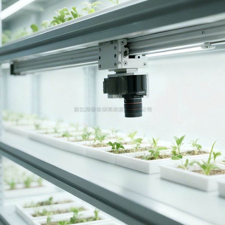 室內成人在线看片APP萌發表型監測係統 TP-SeedPhy