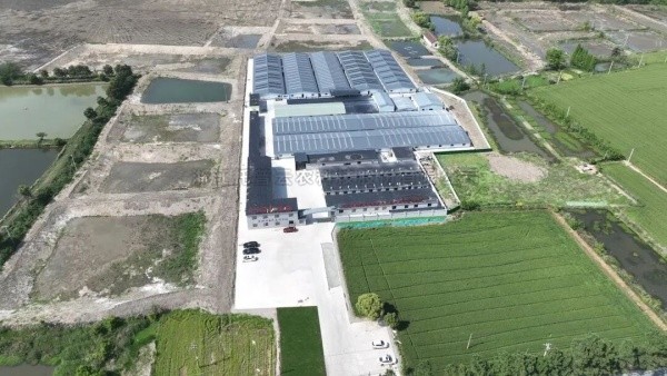 南太湖豐產密碼！成人看片网站高標準農田全鏈條方案，建好更能用好