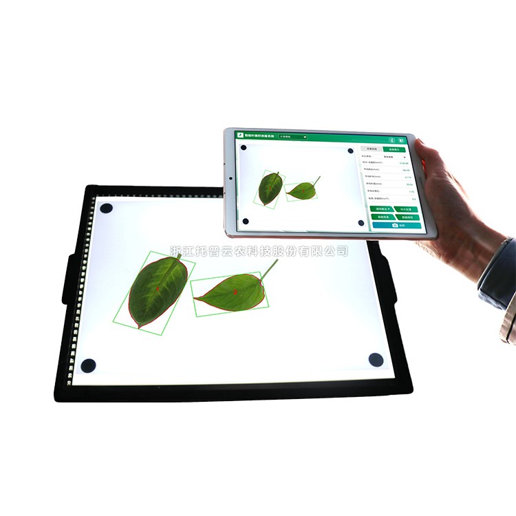 智能葉麵積測量儀YMJ-CHA3