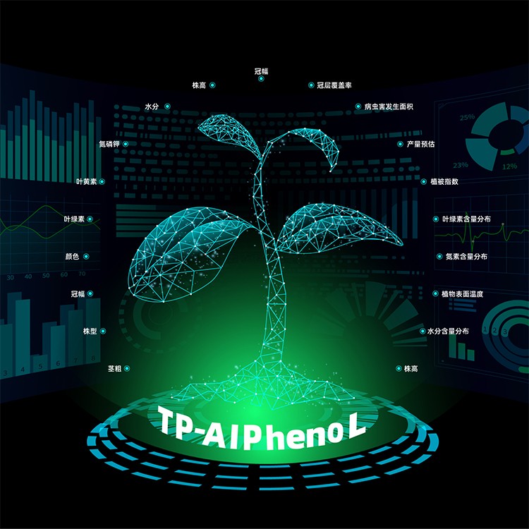 植物表型自動化分析軟件 TP-AI Pheno L