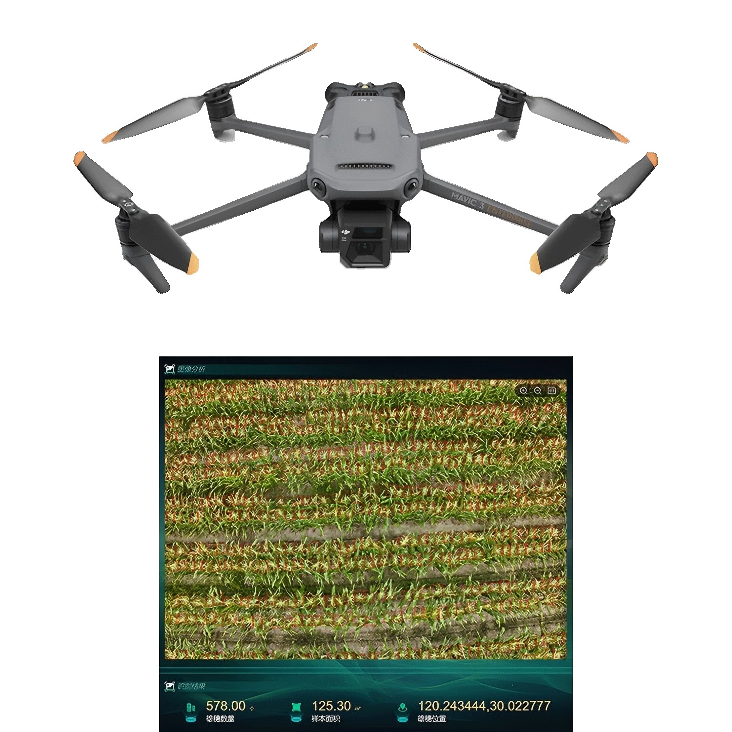 玉米表型生長監測係統TP-KJG-YM