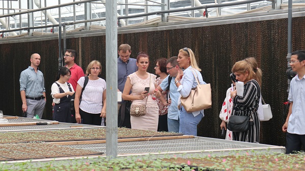 研修班一行來到由成人看片网站與蕭山農科所聯合搭建的現代農業產業園進行考察