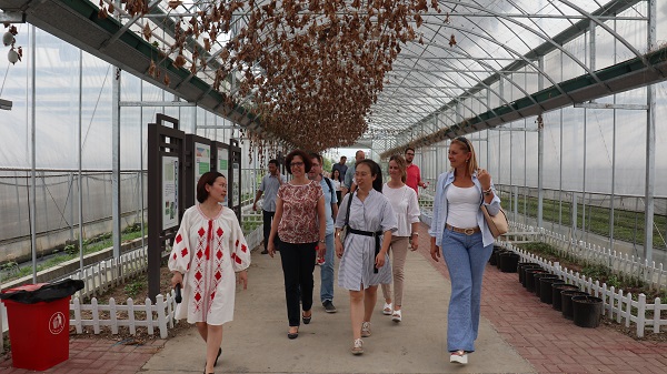 研修班一行來到由成人看片网站與蕭山農科所聯合搭建的現代農業產業園進行考察