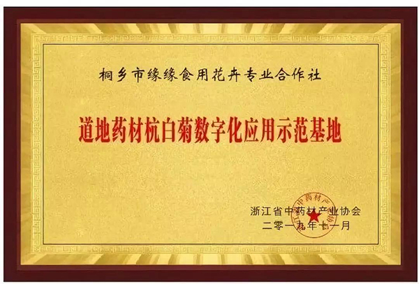 道地藥材杭白菊數字化應用示範基地