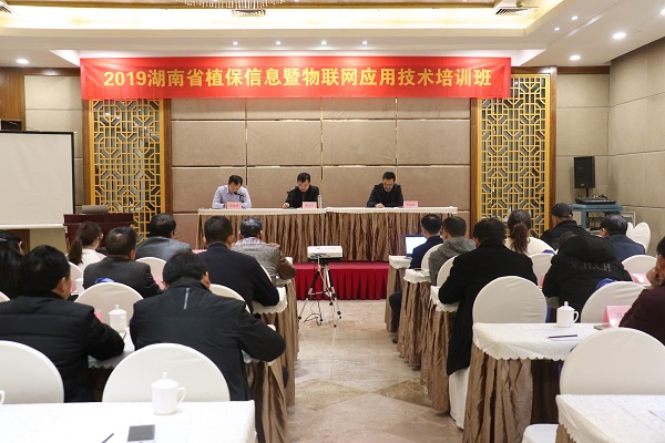 成人看片网站服務湖南省植保信息技術培訓班在杭開班