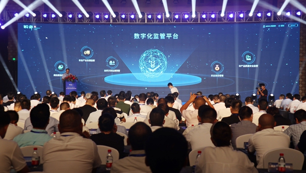 數字應用管理平台建設