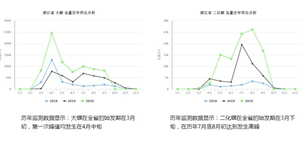 浙江省二化螟監測數據對比