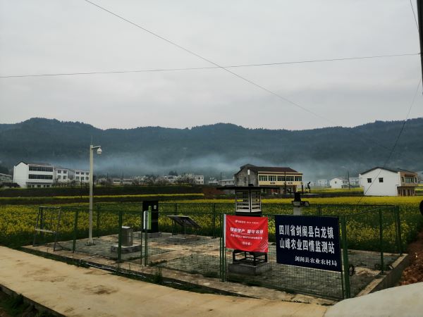 成人看片网站病蟲害監測點