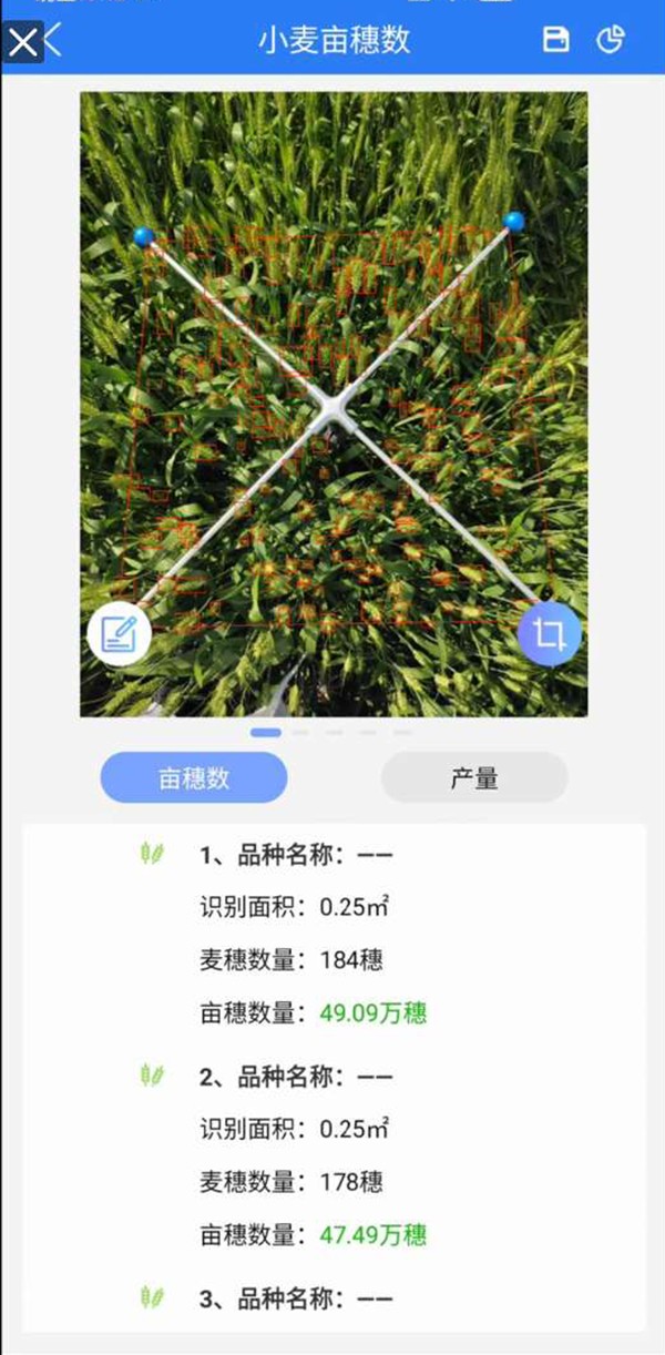 小麥畝穗數測量係統