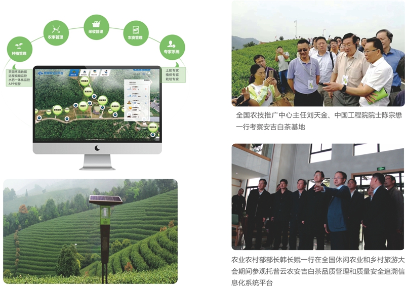 安吉茶園物聯網