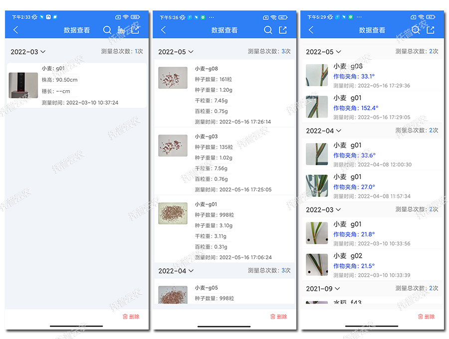 小麥表型檢測儀數據結果