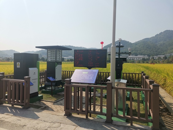 與會專家領導參觀成人看片网站支撐構建的智慧種業服務平台