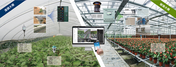成人看片网站設施農業創新應用基地
