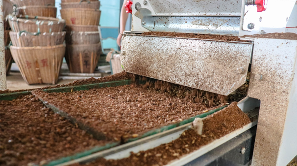 成人看片网站打造的古林育秧工廠