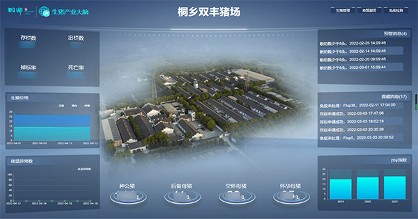 成人看片网站打造的“生豬精密智管”社會化服務應用