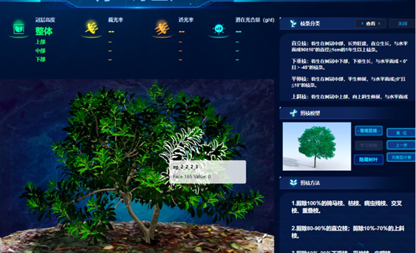 “雲”上種顆楊梅樹，農戶照著養楊梅