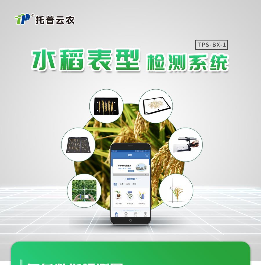 水稻表型檢測係統