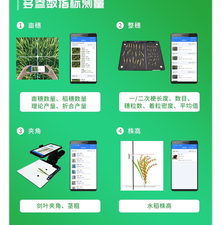 水稻表型檢測係統