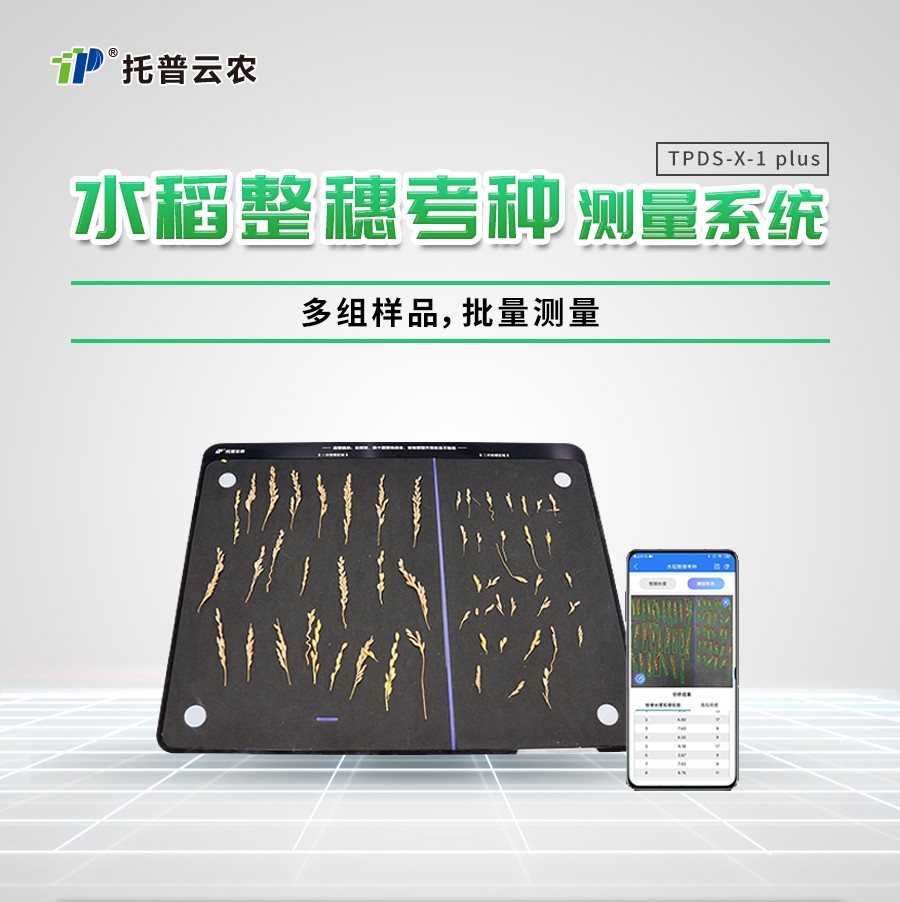 水稻整穗考種測量係統