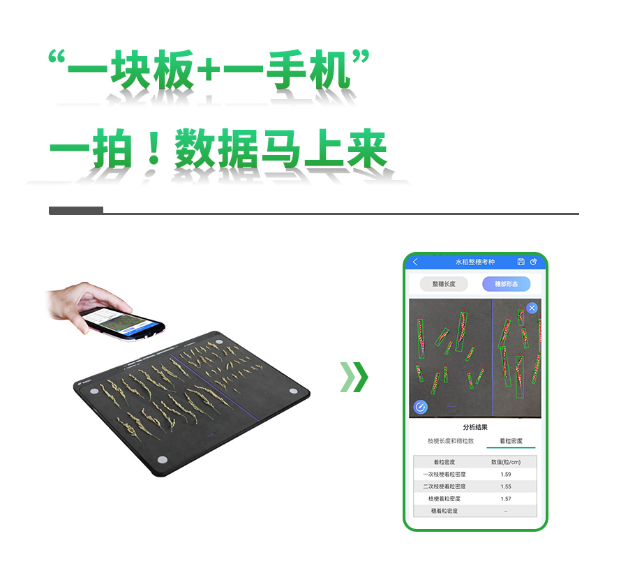 水稻整穗考種測量係統