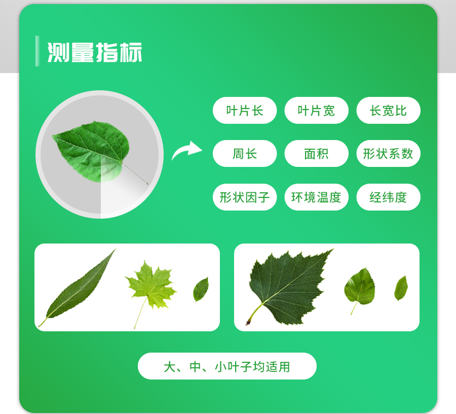 活體葉麵積測量儀